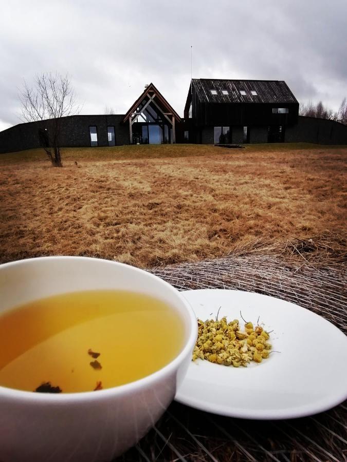 Beechtree Property 伊兹沃阿莱 外观 照片